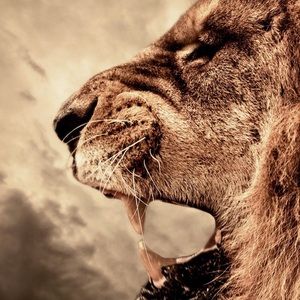 Meet your Posher, Pablo